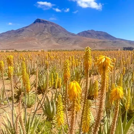 Bhh Naturist With 4 Independent Semesteranläggning (resort) Costa Calma